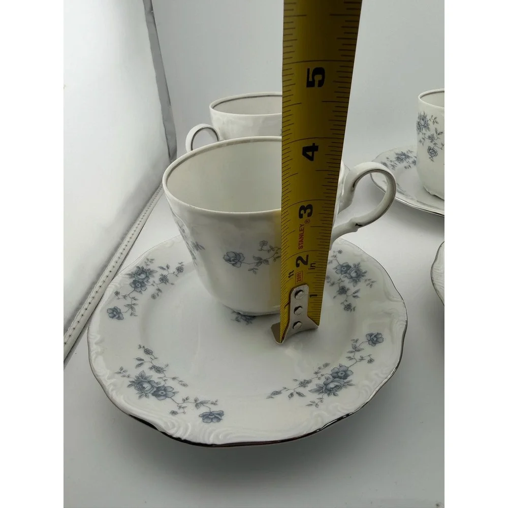 Johann Haviland Bavaria Germany Cup and Saucer Set Blue Floral‎ Trim